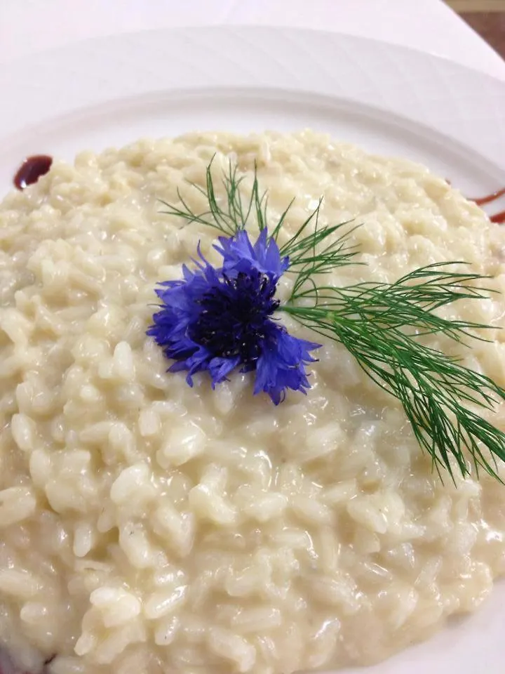 Hotel Conchiglia Cervia 4*,  Italia