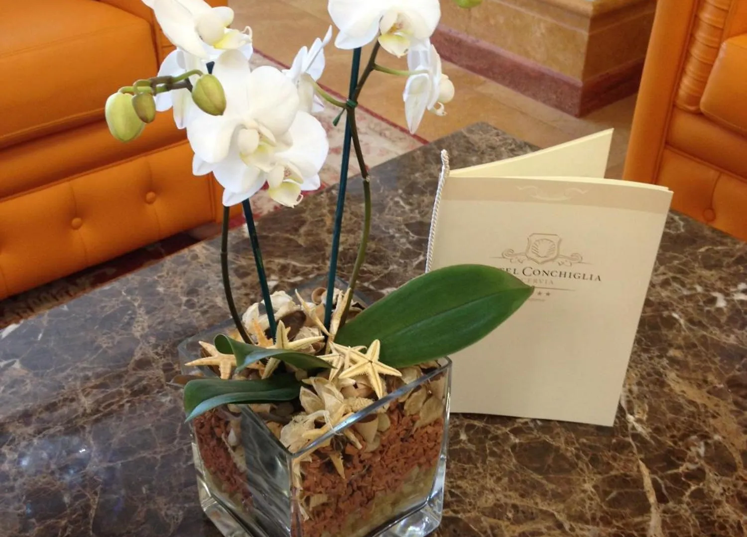 Hotel Conchiglia Cervia Italia